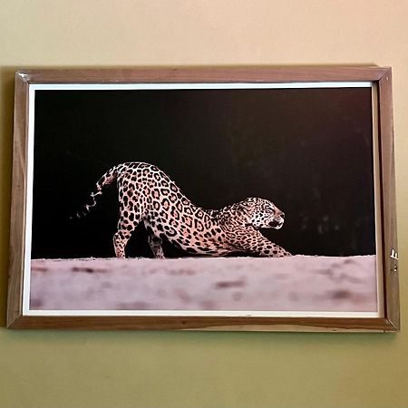 プエルト・イグアス Casa Jaguarヴィラ エクステリア 写真