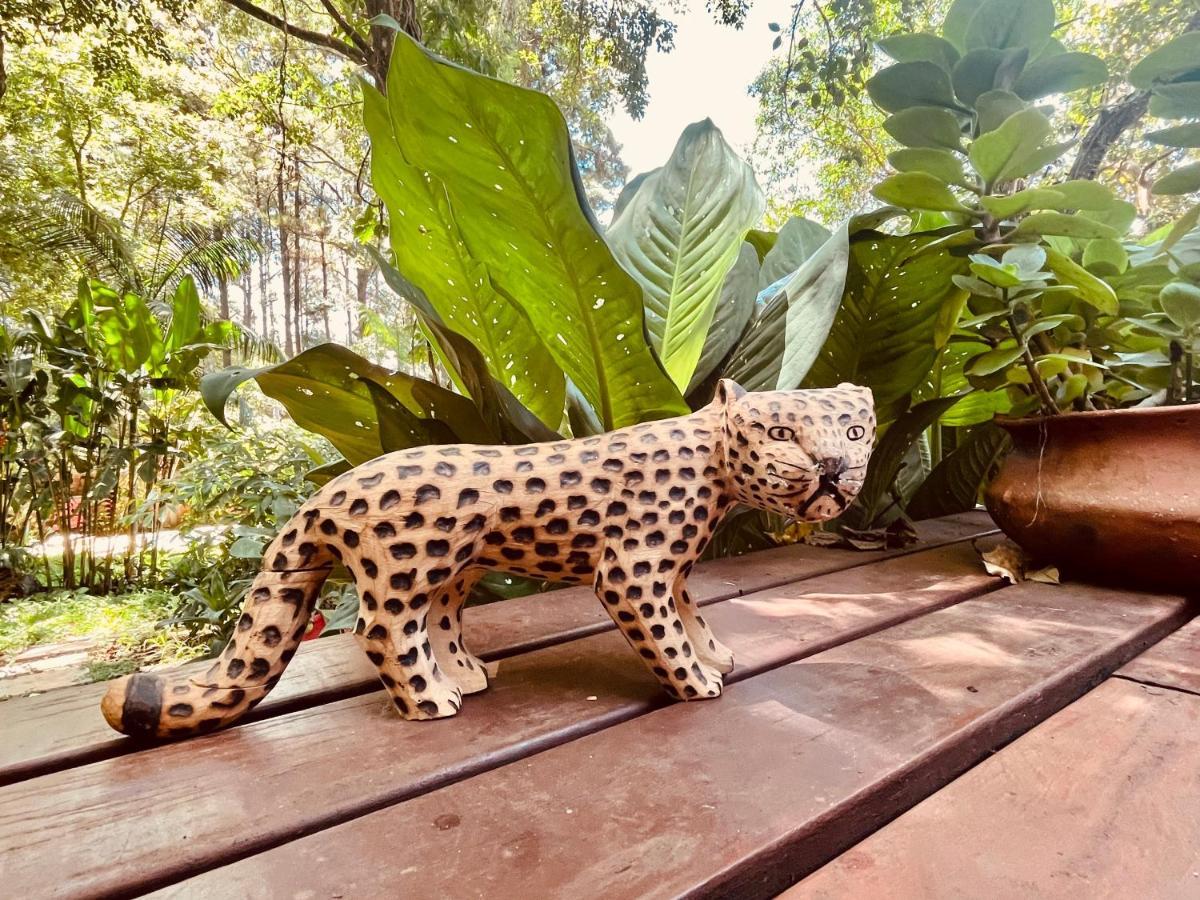プエルト・イグアス Casa Jaguarヴィラ エクステリア 写真